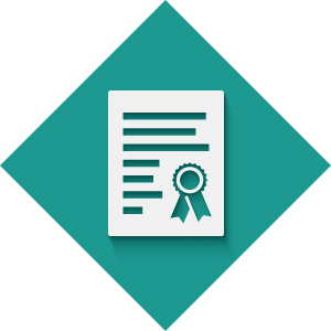 Testing & Certification Icon